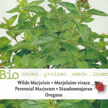 Oregano BIO (Origanum vulgare) 700 zaden
